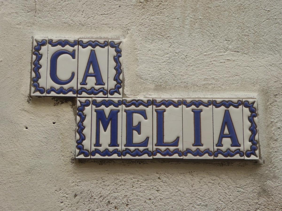 Apartament Ca Melia Bedigliora Zewnętrze zdjęcie